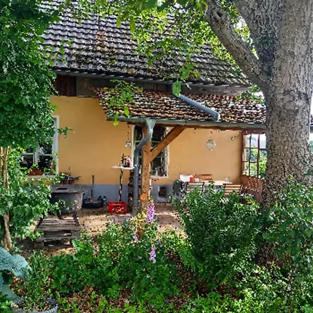 Haus Oskar Apartment Gorwihl Exterior photo